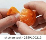 A child peeling tangerines. Citrus fruits for children.