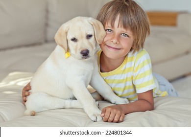 14,385 Unity animals Images, Stock Photos & Vectors | Shutterstock