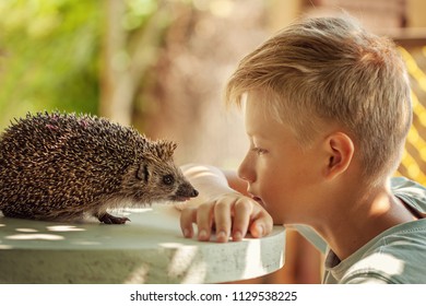 Child With Pet. Boy And Hedgehog Looking At Each Other.