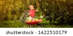 Child picking apples on a farm. Little boy playing in apple tree orchard. Kid pick fruit and put them in a wheelbarrow. Baby eating healthy fruits at fall harvest. Outdoor fun for children.