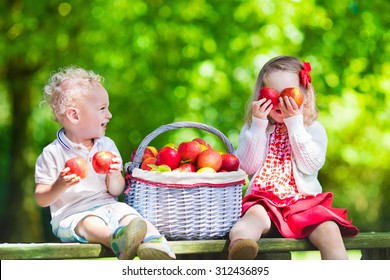 Child Picking Apples On A Farm In Autumn. Little Girl And Boy Playing In Apple Tree Orchard. Kids Pick Fruit In A Basket. Toddler Eating Fruits At Harvest. Outdoor Fun For Children. Healthy Nutrition.