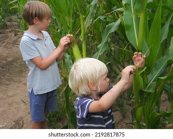 2,054 Child cornfield Images, Stock Photos & Vectors | Shutterstock