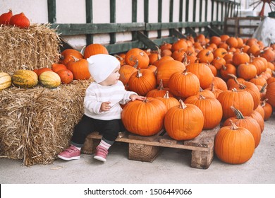 Child Picking Pumpkins At Pumpkin Patch. Little Toddler Girl Playing Among Squash At Farm Market. Thanksgiving Holiday Season. Family Autumn Background.