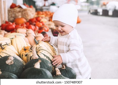 Child Picking Pumpkins At Pumpkin Patch. Little Toddler Girl Playing Among Squash At Farm Market. Thanksgiving Holiday Season. Family Autumn Background.