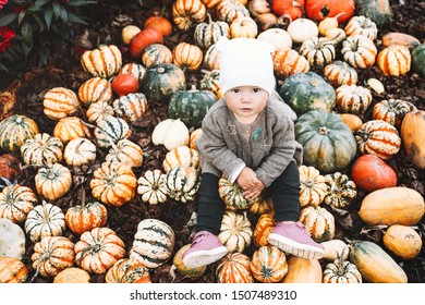 Child picking pumpkins at pumpkin patch. Little toddler girl playing among squash at farm market. Thanksgiving holiday season. Family autumn background.