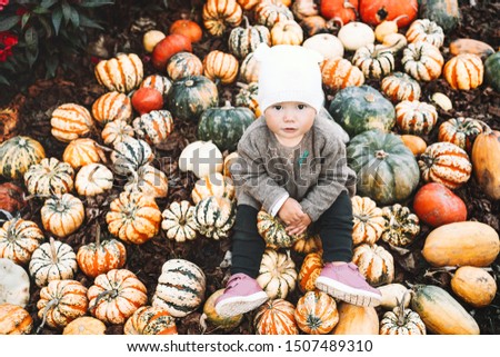 Child picking pumpkins at pumpkin patch. Little toddler girl playing among squash at farm market. Thanksgiving holiday season. Family autumn background.