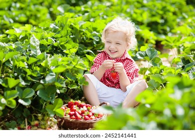 Child picking strawberry on fruit farm field on sunny summer day. Kids pick fresh ripe organic strawberry in white basket on pick your own berry plantation. Little boy eating strawberries. - Powered by Shutterstock