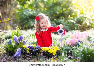 Child Planting Spring Flowers In Garden. Little Girl Gardener Plants Hyacinth, Daffodil, Snowdrop In Flower Bed. Gardening Tools And Water Can For Kids. Family With Children Work In The Backyard