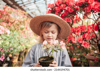 Child planting spring flowers. Little girl gardener plants azalea. Girl holding azalea bush in flower pot. Child taking care of plants. Toddler with flower basket. girl holding pink flowers - Powered by Shutterstock