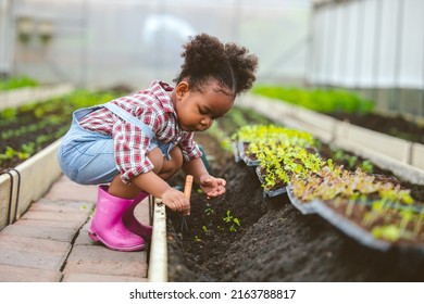 Child play planting the green tree in the garden. - Powered by Shutterstock