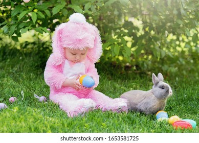 Real Easter Bunny Images Stock Photos Vectors Shutterstock