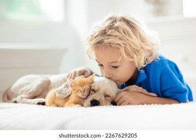 Child playing with baby dog and cat. Kids play with puppy and kitten. Little boy and American cocker spaniel on bed at home. Children and pets at home. Kid taking nap with pet. Animal care. - Powered by Shutterstock