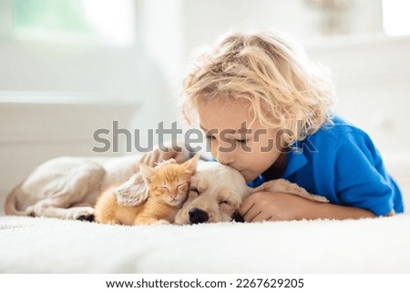 Child playing with baby dog and cat. Kids play with puppy and kitten. Little boy and American cocker spaniel on bed at home. Children and pets at home. Kid taking nap with pet. Animal care.