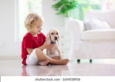 Child Playing With Baby Dog. Kids Play With Puppy. Little Boy And American Cocker Spaniel At Couch At Home. Children And Pets At Home. Kid Sitting On The Floor With Pet. Animal Care.