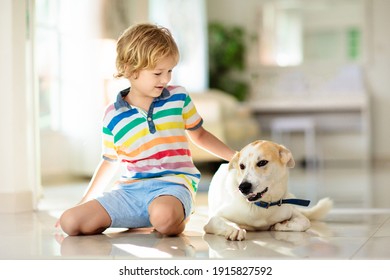 Child Playing With Baby Dog. Kids Play With Puppy. Little Boy And Large Dog At Home. Children And Friendship. Kid Sitting On The Floor With Pet. Animal Care.
