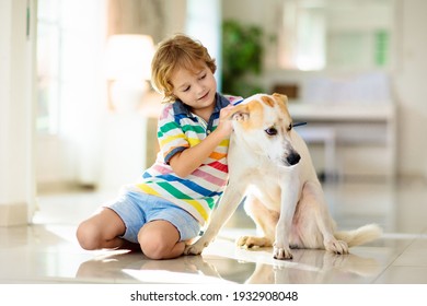 Child Playing With Baby Dog. Kids Play With Puppy. Little Boy And Large Dog At Home. Children And Friendship. Kid Sitting On The Floor With Pet. Animal Care.