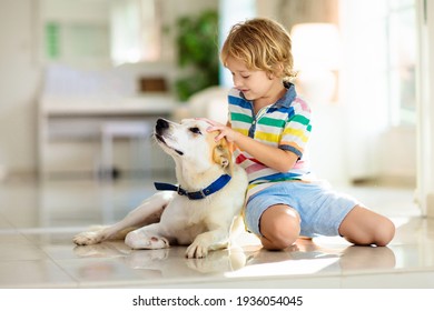 Child Playing With Baby Dog. Kids Play With Puppy. Little Boy And Large Dog At Home. Children And Friendship. Kid Sitting On The Floor With Pet. Animal Care.