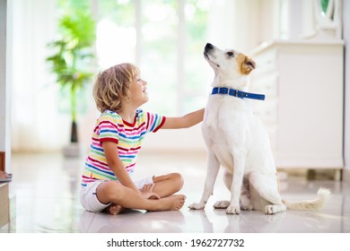 Child Playing With Baby Dog. Kids Play With Puppy. Little Boy And Large Dog At Home. Children And Friendship. Kid Sitting On The Floor With Pet. Animal Care.