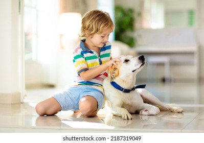 Child Playing With Baby Dog. Kids Play With Puppy. Little Boy And Large Dog At Home. Children And Friendship. Kid Sitting On The Floor With Pet. Animal Care.