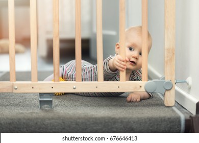 Child Playing Behind Safety Gates In Front Of Stairs At Home