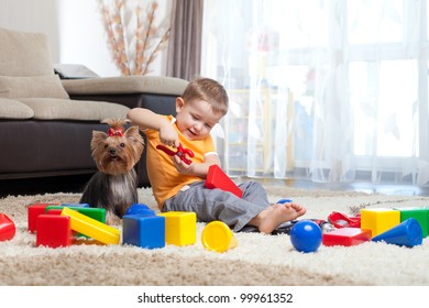 Child Playing With Building Blocks At Home. York Dog Sitting Near Boy.