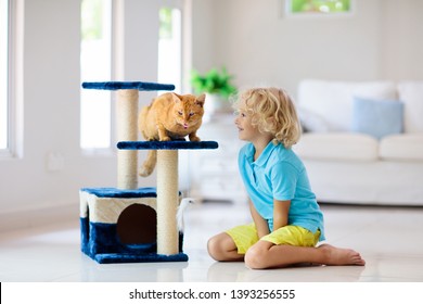 Child playing with cat at home. Kids and pets. Little boy feeding and petting cute ginger color cat. Cats tree and scratcher in living room interior. Children play and feed kitten. Home animals.