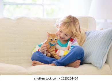 4,179 Snuggling cats Images, Stock Photos & Vectors | Shutterstock