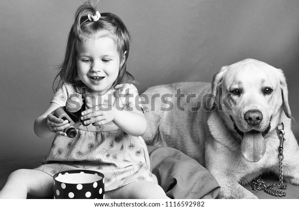 child is playing with the dog. Happy\
little girl with smiling funny face playing with plastic car toy\
near labrador dog pet in studio on grey\
background
