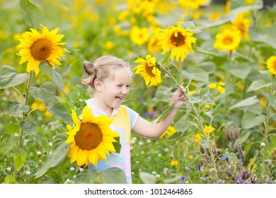 Child Playing Sunflower Field On Sunny Stock Photo 1012464865 ...