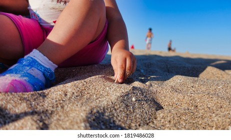 The child plays on the beach. Kid playing with sand and shells. Young girl having fun alone  outdoors during summer vacation. Close up shot with shallow depth of field. Low angle shot.