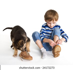 Child, Puppy And Shoes