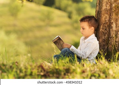 Child Reading A Book Under A Tree