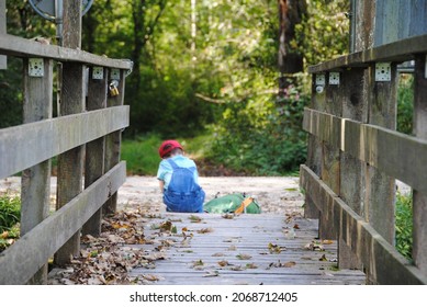 Child In Red Cap On The Wooden Bridge, Autumn Hiking Trail