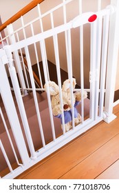 A Child Safety Gate And Stairs