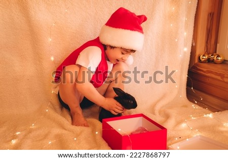 Child in Santa Claus costume is holding little black rabbit on hands. Boy love domestic animals. Zoo therapy. Merry Christmas and New Year holiday atmosphere. Hare is symbol of 2023 Chinese calendar. Stock photo © 
