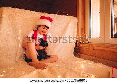 Child in Santa Claus costume is holding little black rabbit on hands. Boy love domestic animals. Zoo therapy. Merry Christmas and New Year holiday atmosphere. Hare is symbol of 2023 Chinese calendar. Stock photo © 