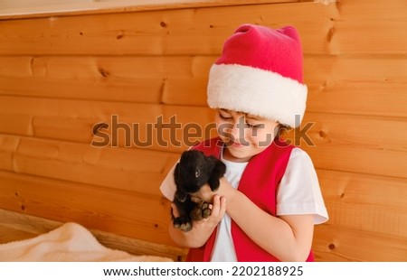 Child in Santa Claus costume holds rabbit on hands. Boy stroke domestic animals. Zoo therapy with furry pets. Merry Christmas and happy New Year. Hare is the symbol of 2023 by the Chinese calendar. Stock photo © 