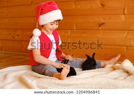 Child in Santa Claus costume plays with black rabbits. Boy stroke domestic animals. Zoo therapy with furry pets. Merry Christmas and happy New Year. Hare is the symbol of 2023 by the Chinese calendar. Stock photo © 