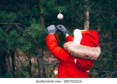 Child In Santa Claus Hat And Red Jacket Is Hanging Christmas Decorations On A Fir-tree In Theforest.