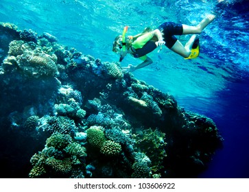 Child Scuba Diver With Group Coral Fish In  Blue Water.