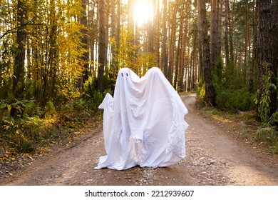 A child in sheets with cutout for eyes like a ghost costume in an autumn forest scares and terrifies. A kind little funny ghost. Halloween Party