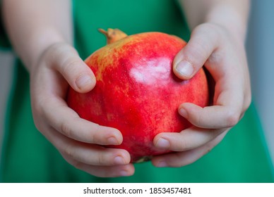 A child showing pomegranate. Child holds a pomegranate in his tiny hands. - Shutterstock ID 1853457481