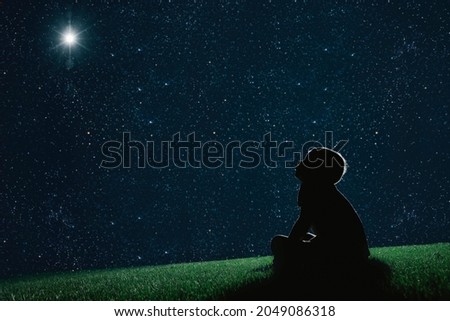 child sit on the grass at night and look at the night sky