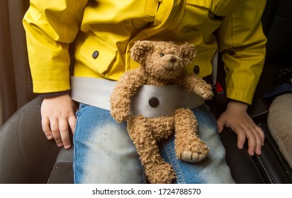 Child Sitting In The Car Fastened With A Seat Beltю. Little Kid With Toy Teddy Bear On Hands. 