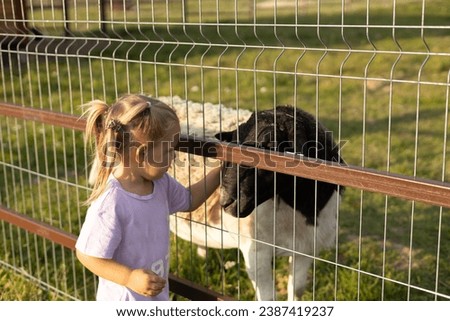 A child, a small beautiful girl, gently strokes the face of a sheep in a petting zoo A child lovingly strokes a sheep's face through the bars of a fence at a zoo The image of a child petting a sheep.