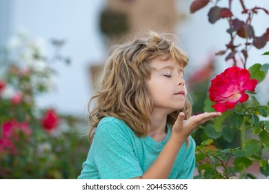 Child Smelling Flower. Kids Funny Face. Cute Kid Enjoy Natural Environment Through Outdoor Activity Like Play, Touch And Smell Rose.