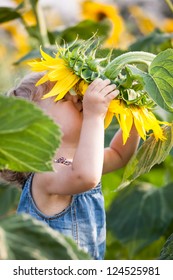 Child Smelling Sunflower In Spring Field