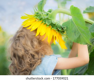 Child Smelling Sunflower In Spring Field