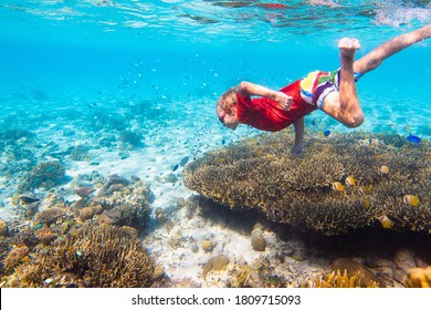 Child Snorkeling. Kids Swim Underwater. Beach And Sea Summer Vacation With Children. Little Girl Watching Coral Reef Fish. Marine Life On Exotic Island. Kid Swimming And Diving With Snorkel And Mask.