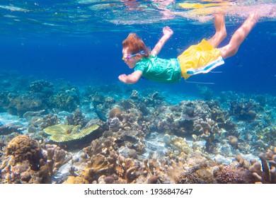 Child snorkeling. Kids swim underwater. Beach and sea summer vacation with children. Little girl watching coral reef fish. Marine life on exotic island. Kid swimming and diving with snorkel and mask.